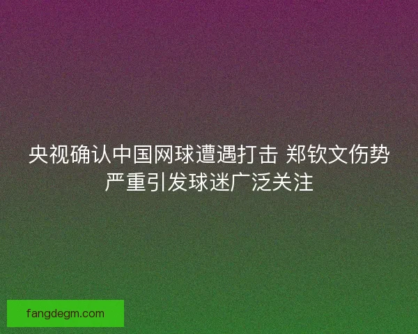央视确认中国网球遭遇打击 郑钦文伤势严重引发球迷广泛关注