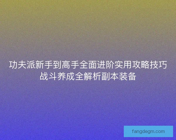 功夫派新手到高手全面进阶实用攻略技巧战斗养成全解析副本装备