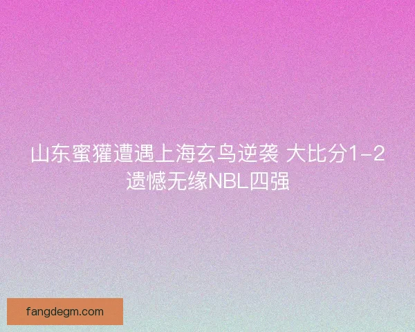 山东蜜獾遭遇上海玄鸟逆袭 大比分1-2遗憾无缘NBL四强