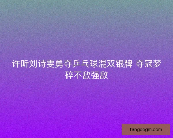 许昕刘诗雯勇夺乒乓球混双银牌 夺冠梦碎不敌强敌