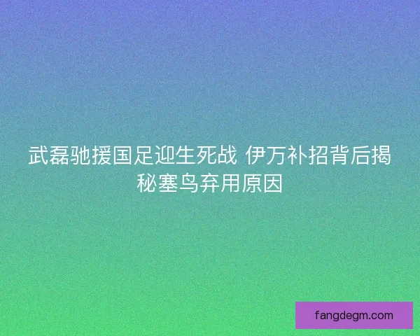 武磊驰援国足迎生死战 伊万补招背后揭秘塞鸟弃用原因 武磊驰援国足迎生死战 伊万补招背后揭秘塞鸟弃用原因